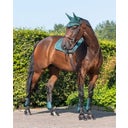 QHP Gamaschen-Set dunkelgrün