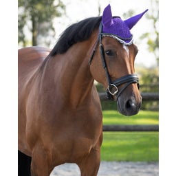 QHP Ohrenhaube Color passion flower