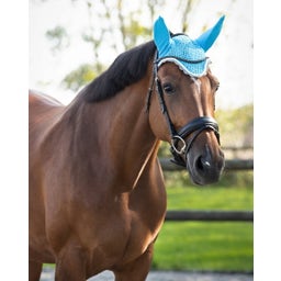 QHP Ohrenhaube Color sky