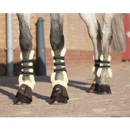 QHP Streichkappen Ontario, braun - Pony