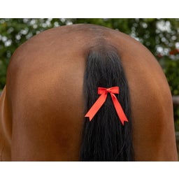 QHP Warnschleife rot