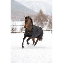 Bucas Irish Turnout 150 schwarz/gold - 115 cm