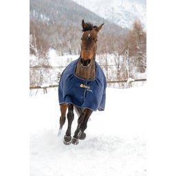 Bucas Irish Turnout 150 navy/gold