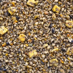 SPEED Clinic Intestine Prebiotic Müsli - 20 kg