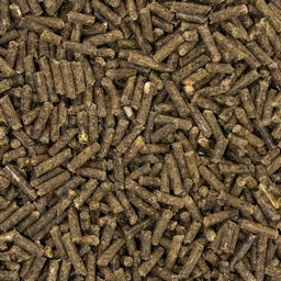 SPEED N°1 Senior Mineralfutter - 1,50 kg