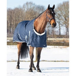 QHP Brustschutz Ontario - navy