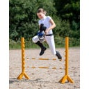 QHP Martingal Hobby horse - dunkelbraun