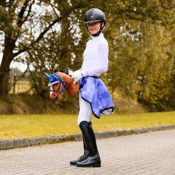 Brands of Q Hobby Horse - Bruin