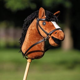 Brands of Q Hobby Horse - Bruin