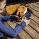 Brands of Q Hobby Horse - Bruin