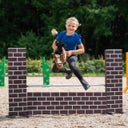 Brands of Q Hobby Horse - Bruin