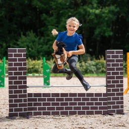 Brands of Q Hobby Horse - Bruin