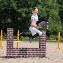 QHP Hobby Horse - grey