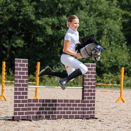 QHP Hobby Horse - grey