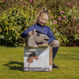 QHP Hobby Horse - grey
