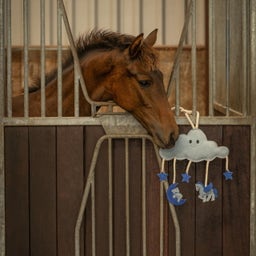 QHP Pferdespielzeug Novy - blau