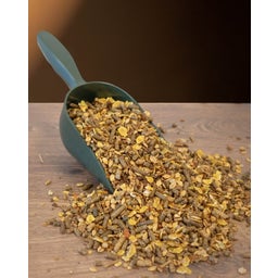 ALL-WIN Horse Next Gen - 15 kg