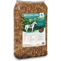 ALL-WIN Horse Mucosal Care - 15 кг