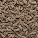 SPEED Leicht Fuss - 20 kg