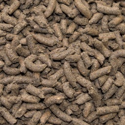 SPEED Leicht Fuss - 20 kg