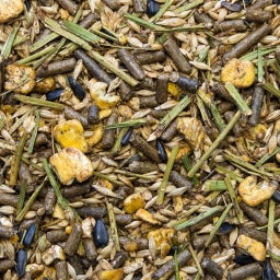 SPEED Kräuter Liebe - 20 kg