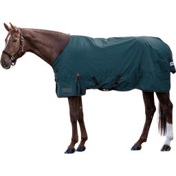Arctic Outdoor Turnout Rug, Light, petrol blue