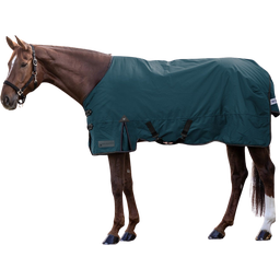 Arctic Outdoor Turnout Rug, Light, petrol blue