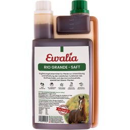 Ewalia Rio Grande Liquid for Horses - 1 l
