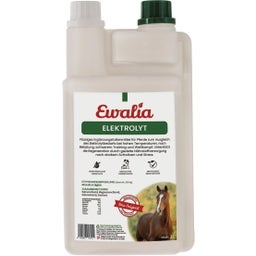 Ewalia Electrolitos - 1 l