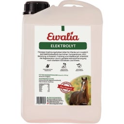 Ewalia Elettroliti - 3 l