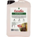 Ewalia Elektrolity - 3 l