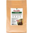 Ewalia Polvo H³ - con Biotina, Selenio y Zinc - 800 g