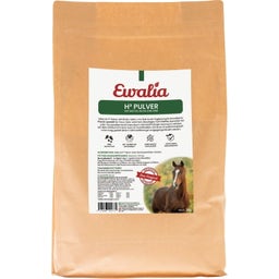 H³ Poeder - met Biotine, Selenium en Zink - 800 g