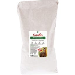 Ewalia Basis Mineral - 10 kg