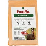 Ewalia Muscles