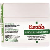 Ewalia Marigold Cream