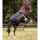 Waldhausen Outdoordecke Scandic, Light, schwarz