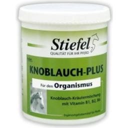 Stiefel KNOBLAUCH-Plus