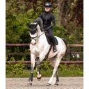 Rückenprotektor P06 flexible, schwarz - Erwachsen - S