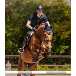 Bodyprotektor P24 Max, schwarz - Erwachsen - L