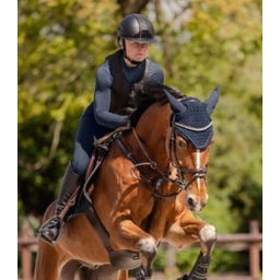 SWING Reithelm H24 Lady shine, schwarz matt - 51 - 55 cm