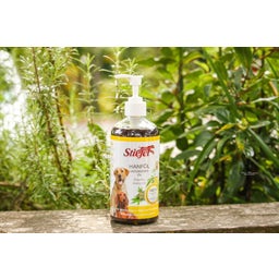 Stiefel Konopljino olje