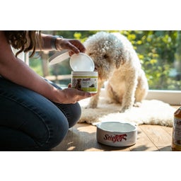 Stiefel Školjke v prahu