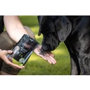 Stiefel Rastlinsko oglje