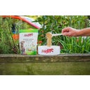 Stiefel Zelišča za prebavila