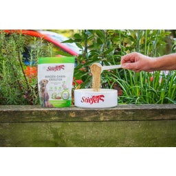 Stiefel Zelišča za prebavila