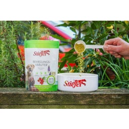 Stiefel Zelišča za gibanje