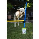 Stiefel Zelišča za gibanje