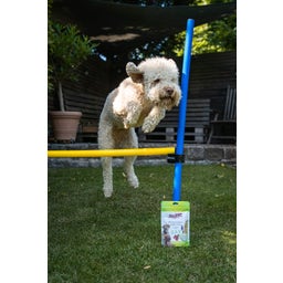 Stiefel Zelišča za gibanje