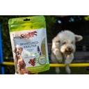 Stiefel Zelišča za gibanje